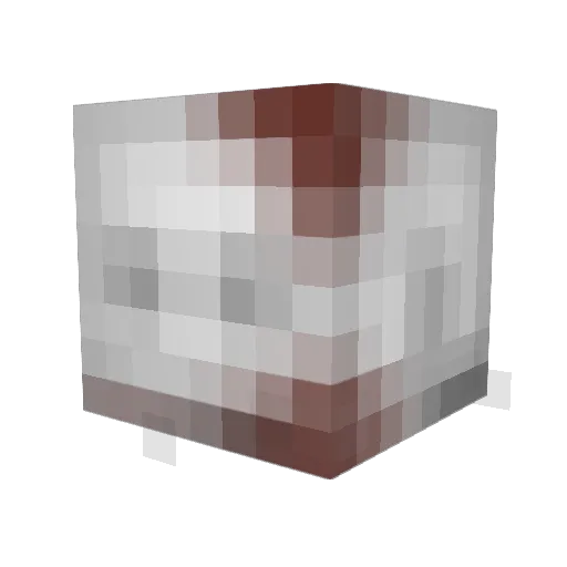 ExchangedCoins Minecraft avatar head, 3D render