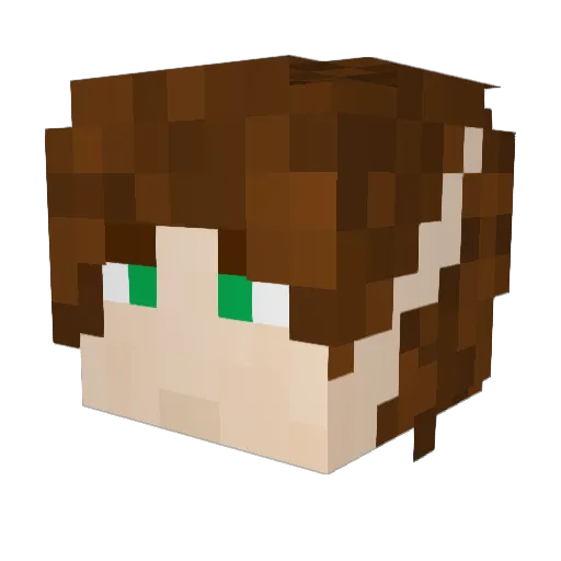 Excitation Minecraft avatar head, 3D render