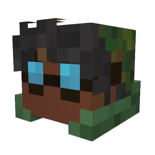 Exclamator Minecraft avatar head, 3D render
