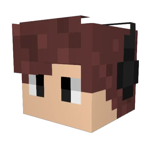 ExcludedArc55 Minecraft avatar head, 3D render