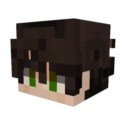 Exclypsy Minecraft avatar head, 3D render