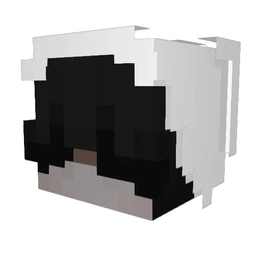 Excusb7777 Minecraft avatar head, 3D render