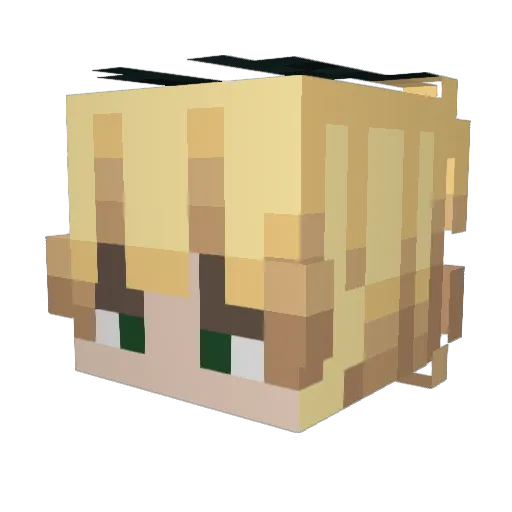 Exfilltrinity Minecraft avatar head, 3D render