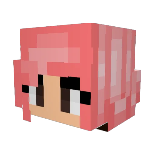 ExhaustedAlpaca Minecraft avatar head, 3D render