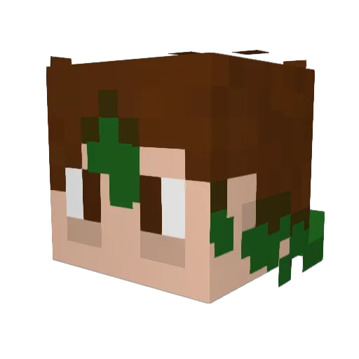 ExhaustedNap Minecraft avatar head, 3D render