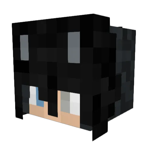 Exhibiits Minecraft avatar head, 3D render