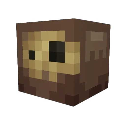Exidor_ Minecraft avatar head, 3D render