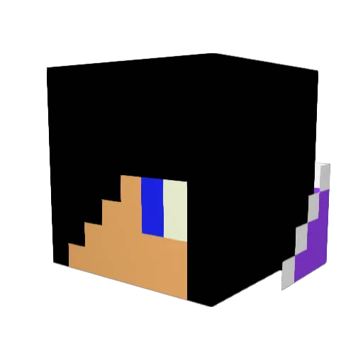 Exidore20 Minecraft avatar head, 3D render