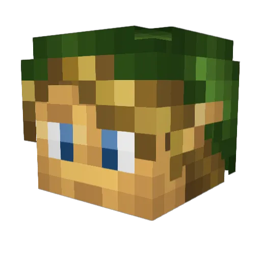 ExiledShinobi Minecraft avatar head, 3D render