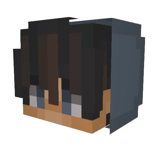 Exill Minecraft avatar head, 3D render