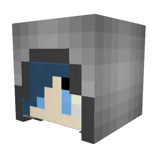 Exillin Minecraft avatar head, 3D render