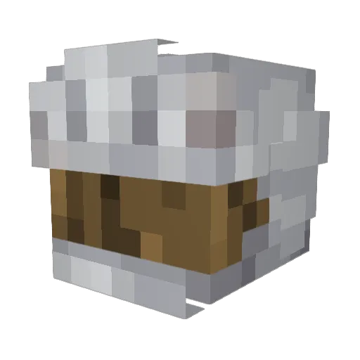 ExinVids Minecraft avatar head, 3D render