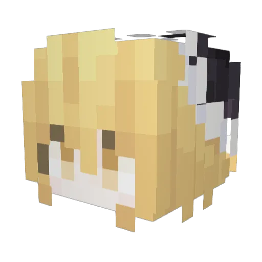 Exists_Here Minecraft avatar head, 3D render