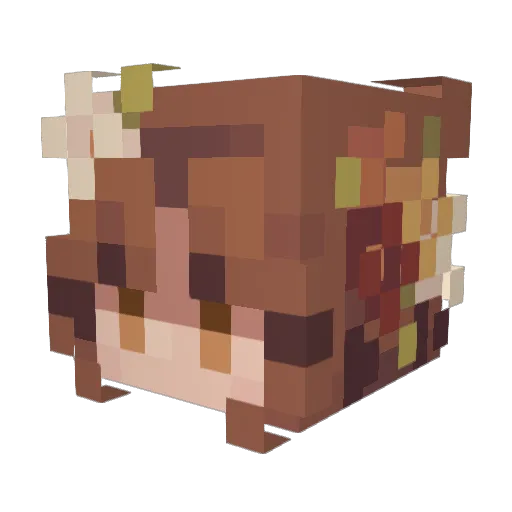 Exkanul Minecraft avatar head, 3D render