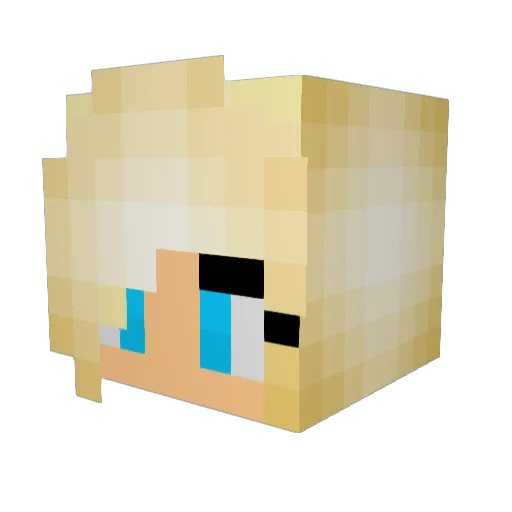 Exmatrikulus Minecraft avatar head, 3D render