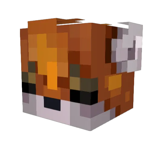 Exnayz1 Minecraft avatar head, 3D render