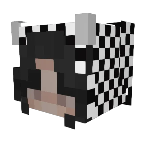 Exodus231 Minecraft avatar head, 3D render
