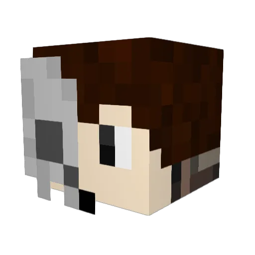 Exon_No Minecraft avatar head, 3D render
