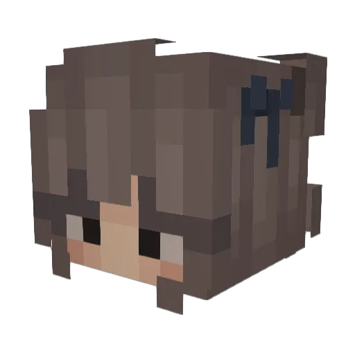 Exonex_ Minecraft avatar head, 3D render