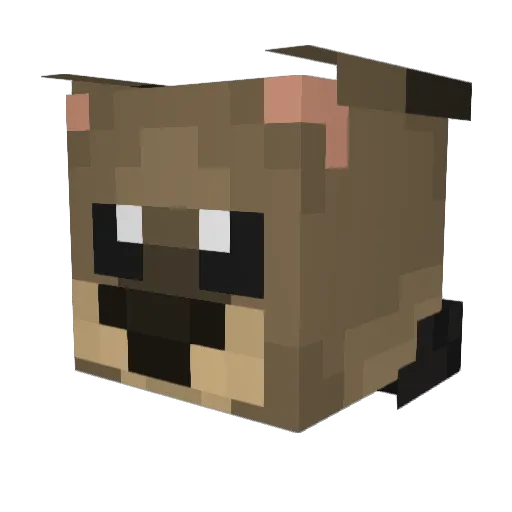 Exonism Minecraft avatar head, 3D render