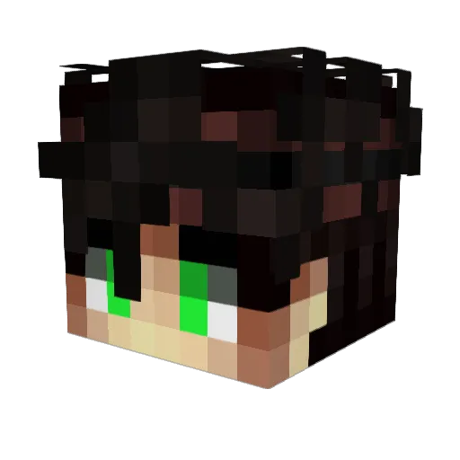 Exoo_ Minecraft avatar head, 3D render