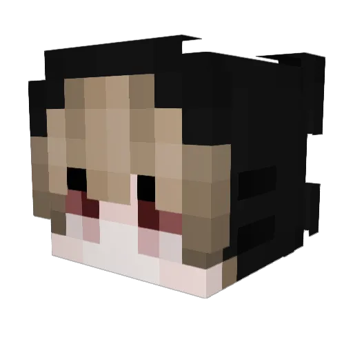 Exorcium Minecraft avatar head, 3D render