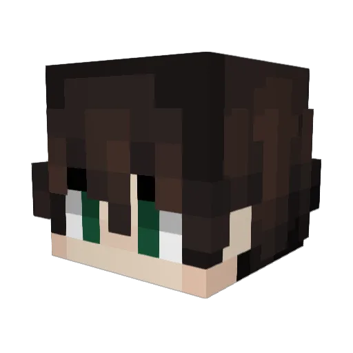 Exorpal_ Minecraft avatar head, 3D render