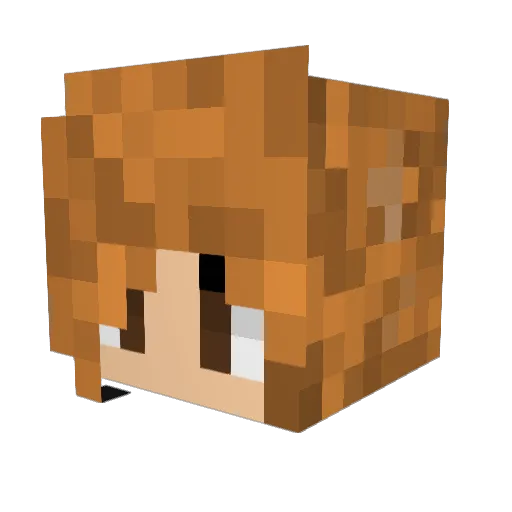 Exosgoddess Minecraft avatar head, 3D render