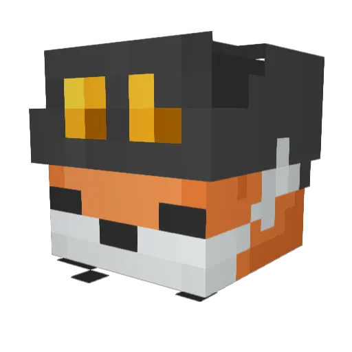 Exotic21t Minecraft avatar head, 3D render