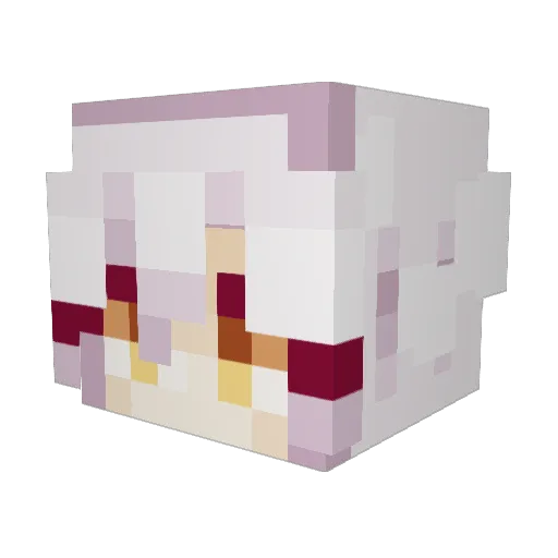 Exotic64 Minecraft avatar head, 3D render