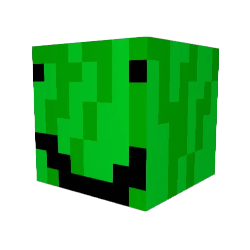 ExoticButterssss Minecraft avatar head, 3D render