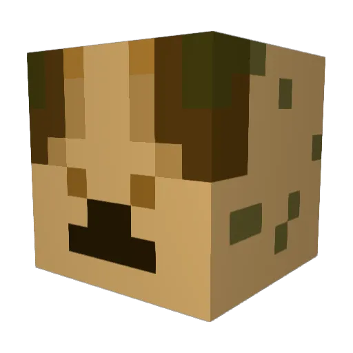 ExoticPandaToe2 Minecraft avatar head, 3D render