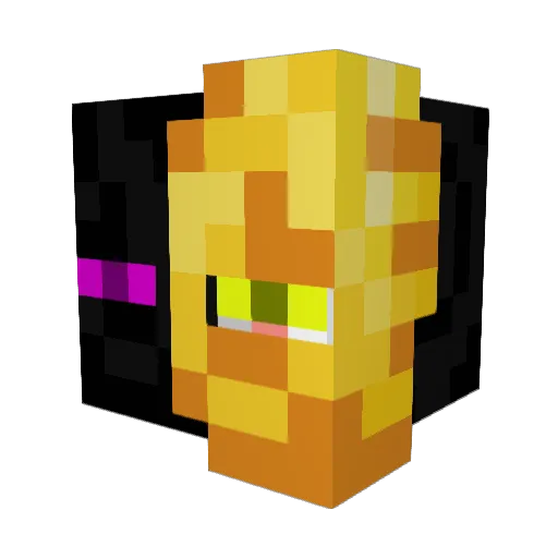 ExoticParadox112 Minecraft avatar head, 3D render