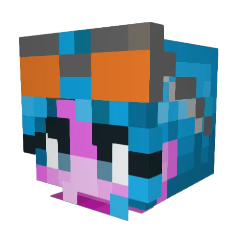 ExoticRice Minecraft avatar head, 3D render