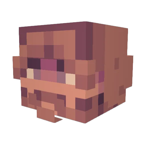 Exotic_Donut Minecraft avatar head, 3D render