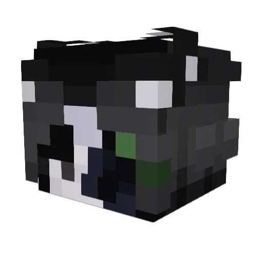 Exotic_Enzo Minecraft avatar head, 3D render