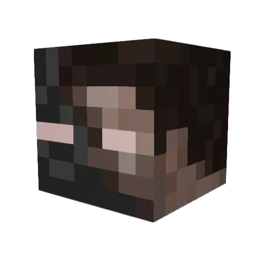 Exotic_Snipe Minecraft avatar head, 3D render