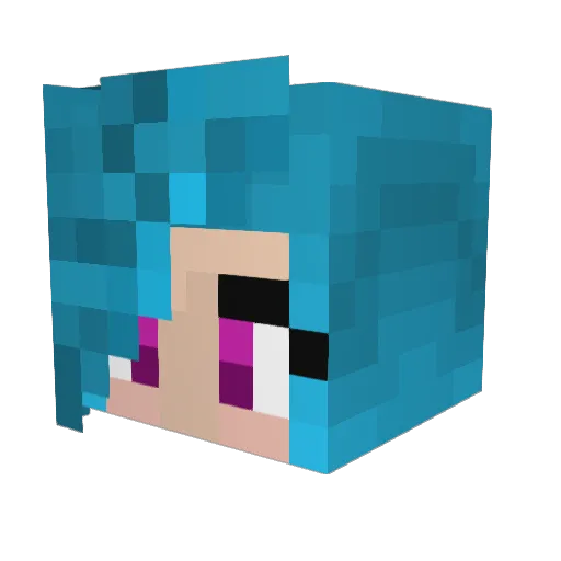 Exoticboy1018 Minecraft avatar head, 3D render