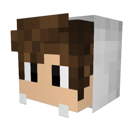 Exotlque Minecraft avatar head, 3D render
