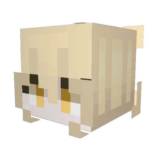 ExozsYT Minecraft avatar head, 3D render