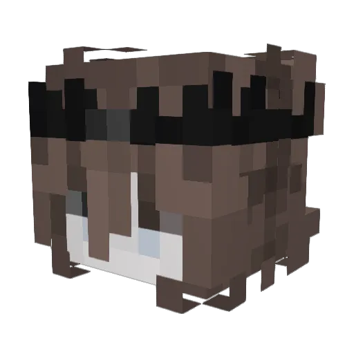 Exp3r9 Minecraft avatar head, 3D render