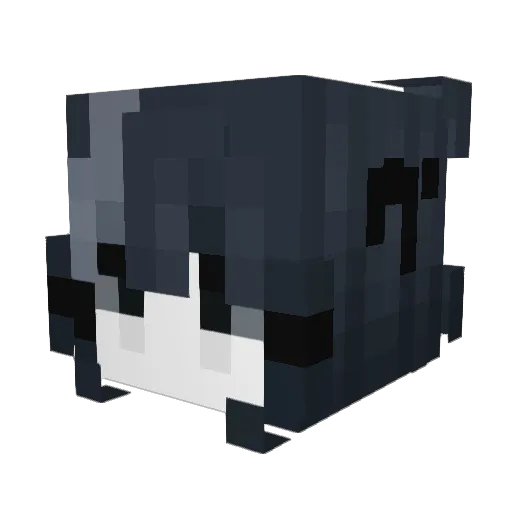 ExpIxann Minecraft avatar head, 3D render