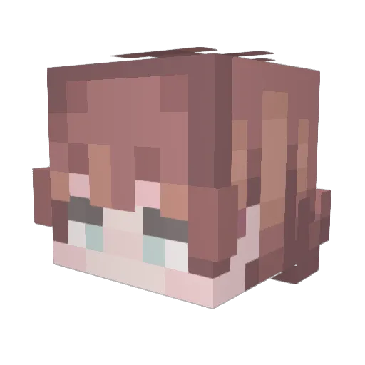 ExpSoup Minecraft avatar head, 3D render