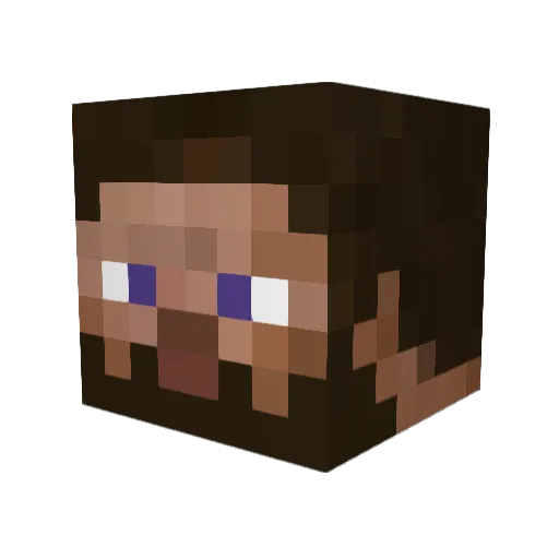 ExpTheTurtle Minecraft avatar head, 3D render