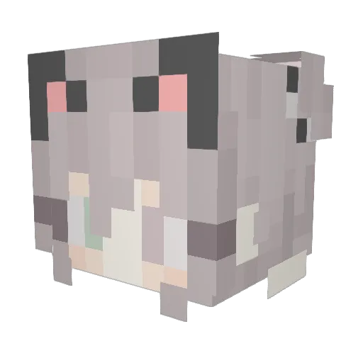 Exp_Rasta Minecraft avatar head, 3D render