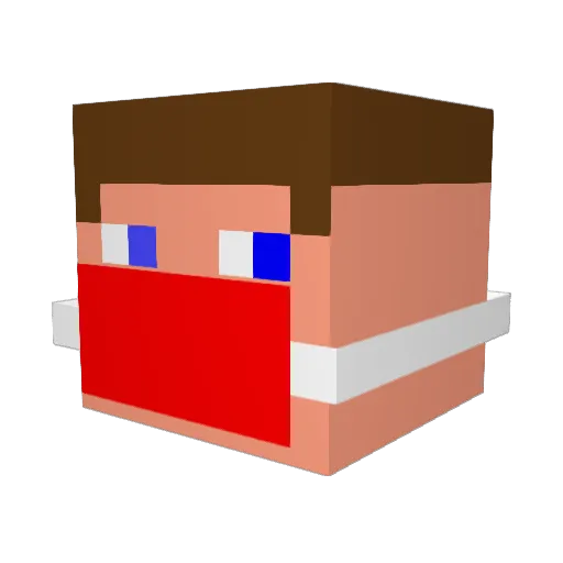 Expan_ Minecraft avatar head, 3D render