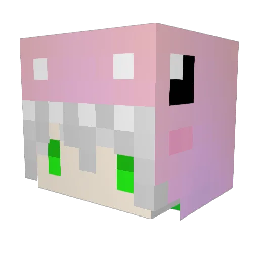 ExpectAndYouer Minecraft avatar head, 3D render