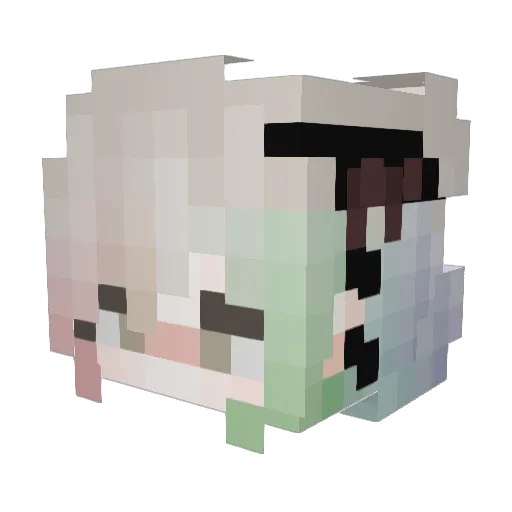 Expecty Minecraft avatar head, 3D render