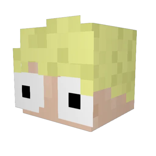 Expeditious Minecraft avatar head, 3D render