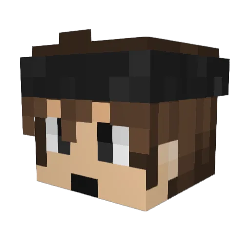 Exper_gamer Minecraft avatar head, 3D render